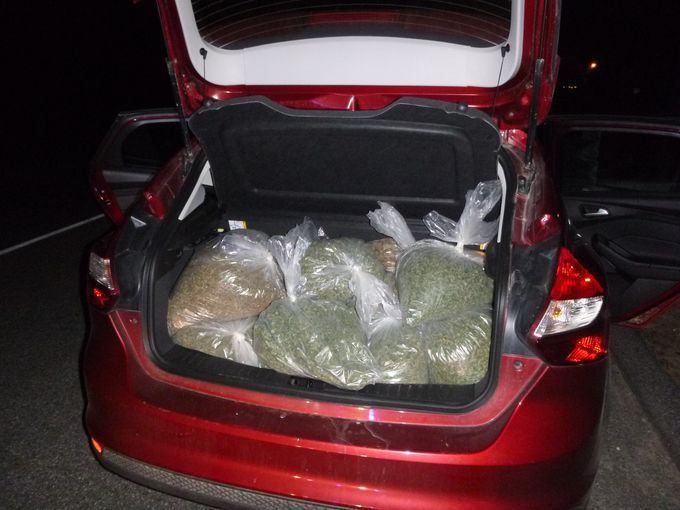 Traffic stop leads to major drug bust | 13newsnow.com