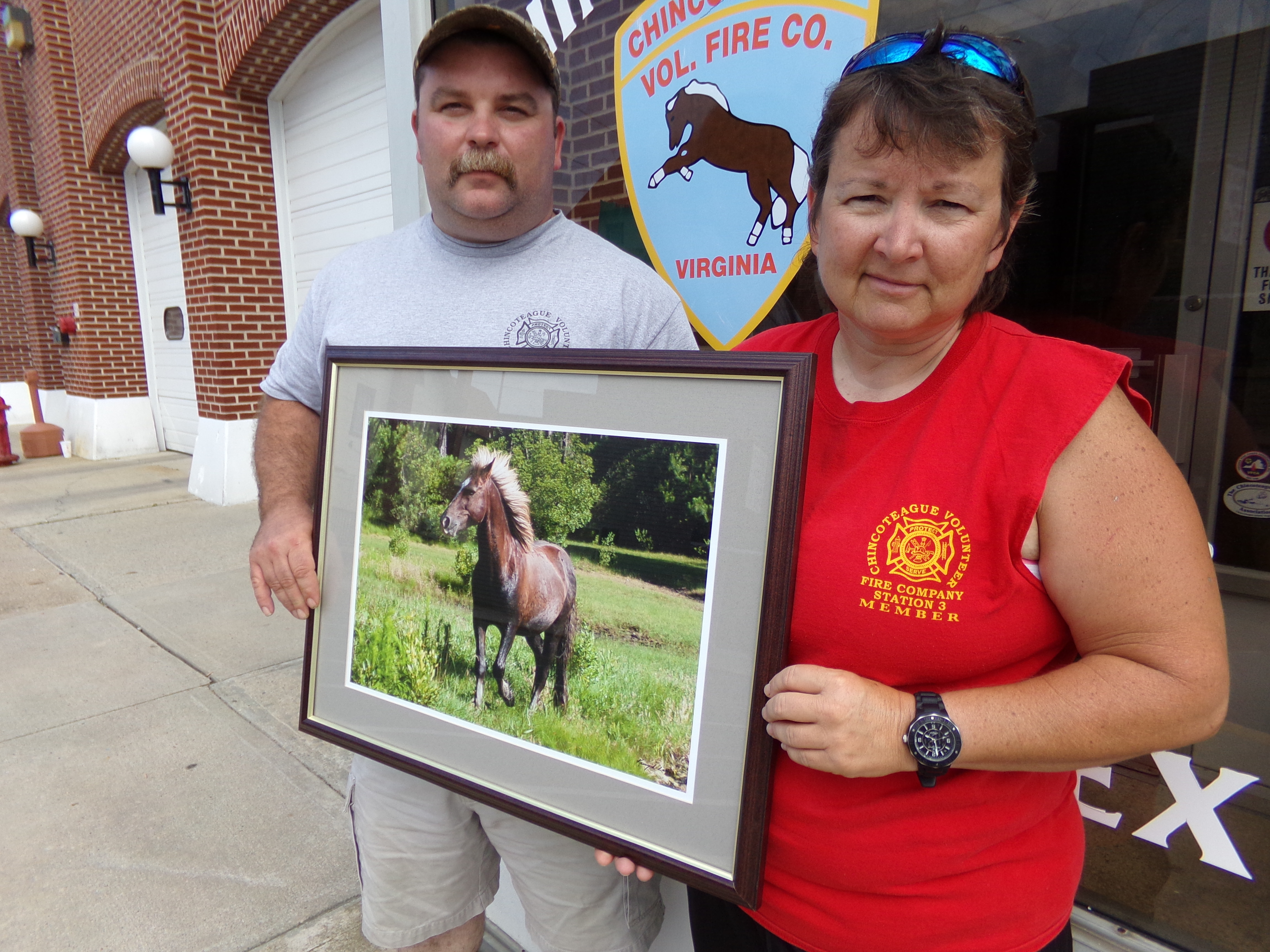 Surfer Dude, iconic Chincoteague pony, dies at 23 13newsnow pic image