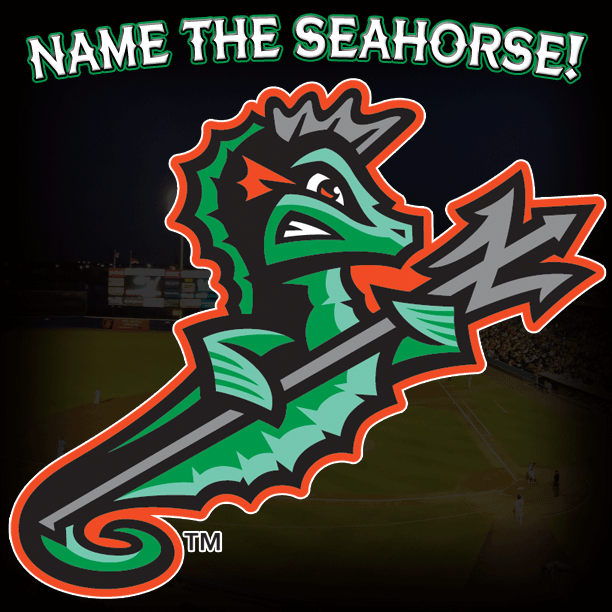 New logos, branding for Norfolk Tides