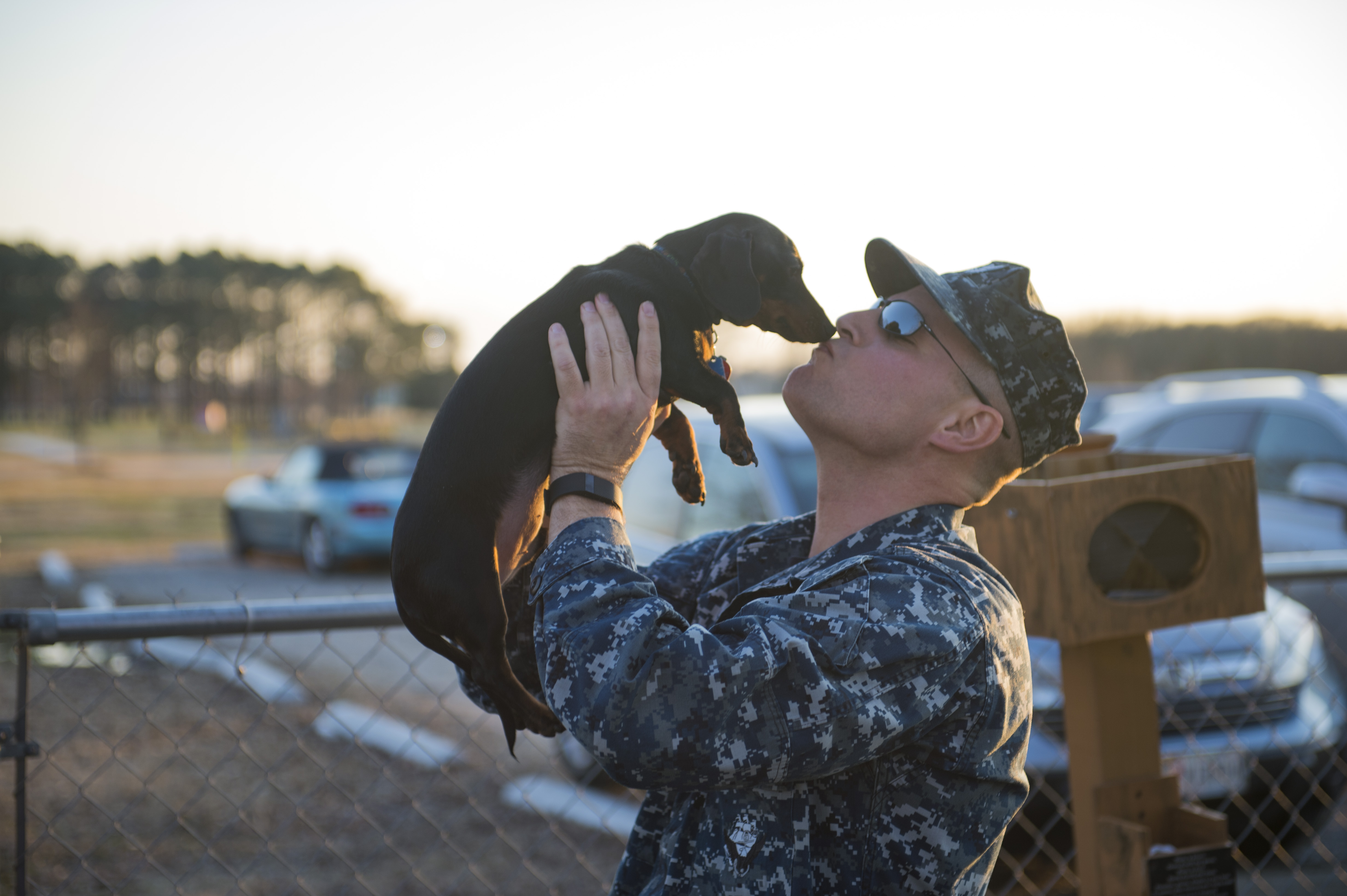 Dogs on Deployment Connecting military pets with temporary homes