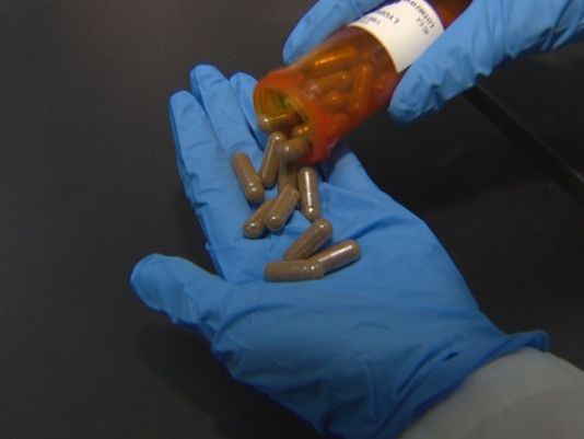 Weight loss pills made from fecal matter 13newsnow