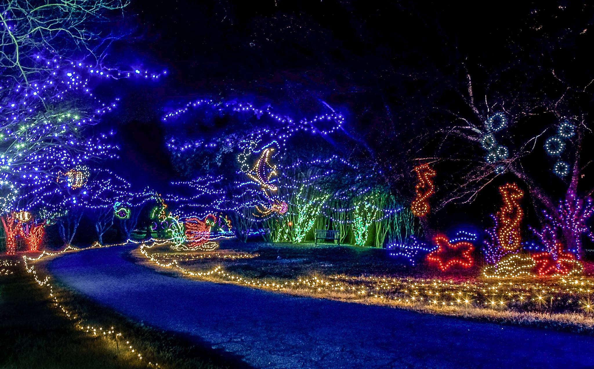 Norfolk Botanical Garden Looking For Help To Light Up Holidays