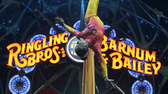 The circus is officially insulted by your election comparisons ...
